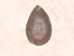 post-3939-034067400 1285030838_thumb.jpg