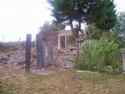 post-4269-009145000 1284656849_thumb.jpg