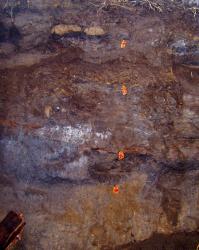 post-4269-009784000 1284689976_thumb.jpg