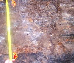 post-4269-025926800 1284691081_thumb.jpg