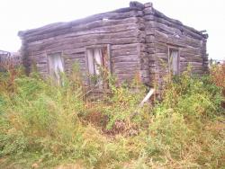 post-4269-033681500 1284656675_thumb.jpg