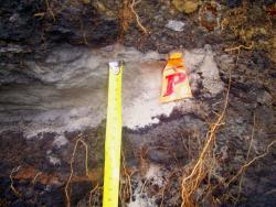 post-4269-034227800 1284692023_thumb.jpg