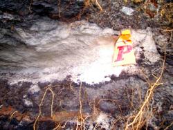 post-4269-038209100 1284692253_thumb.jpg