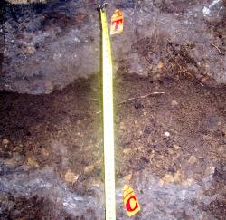 post-4269-049296600 1284690392_thumb.jpg