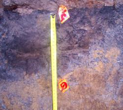 post-4269-062170300 1284691227_thumb.jpg