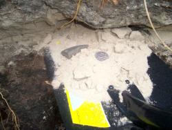 post-4269-069470200 1284657354_thumb.jpg