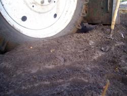 post-4269-075182400 1285343851_thumb.jpg