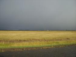 post-4527-088843500 1284220941_thumb.jpg