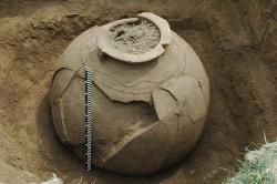 post-498-041999100 1283724640_thumb.jpg