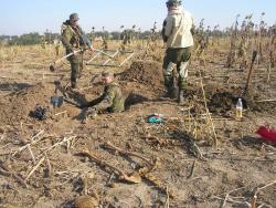 post-548-046745500 1285680203_thumb.jpg