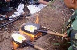 post-548-098131800 1285262556_thumb.jpg