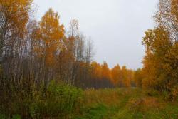 post-802-051809400 1285832823_thumb.jpg