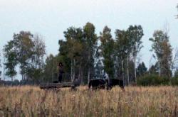 post-802-071876800 1285094178_thumb.jpg