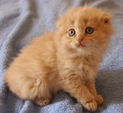 post-802-080690500 1285865649_thumb.jpg