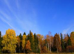 post-802-092376200 1285521583_thumb.jpg