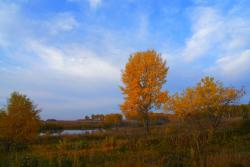 post-802-096179500 1285521526_thumb.jpg