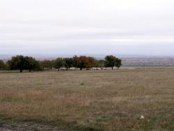 post-1697-0-17664200-1315829601_thumb.jp