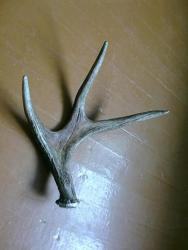 post-3696-0-47201100-1316811605_thumb.jp