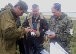 post-4269-0-31312500-1315843388_thumb.jp