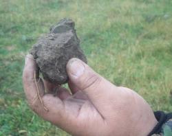 post-4269-0-87648400-1316791831_thumb.jp