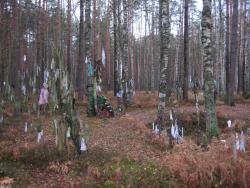 post-4655-0-75237600-1315464126_thumb.jp