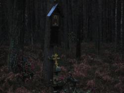 post-4655-0-85059500-1315464372_thumb.jp