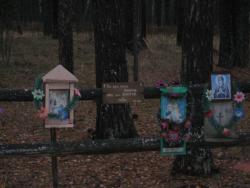 post-4655-0-88518300-1315464421_thumb.jp