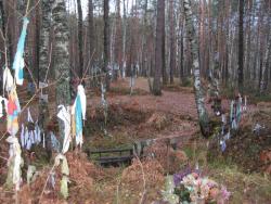 post-4655-0-92916100-1315464357_thumb.jp