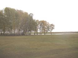 post-4732-0-06806100-1316690672_thumb.jp