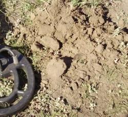 post-4732-0-22800100-1316514917_thumb.jp