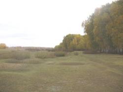 post-4732-0-32154400-1316690408_thumb.jp