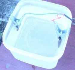 post-4732-0-49760400-1317268210_thumb.jp