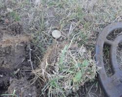 post-4732-0-50989200-1316690429_thumb.jp