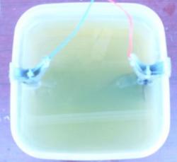 post-4732-0-81484300-1317268242_thumb.jp