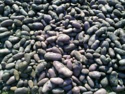 post-4989-0-20434900-1315138471_thumb.jp