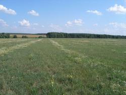 post-4998-0-00517900-1316251997_thumb.jp