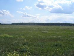 post-4998-0-63780900-1316252056_thumb.jp