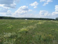 post-4998-0-79990500-1316251977_thumb.jp