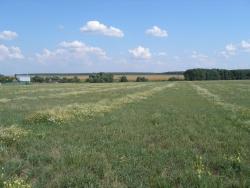 post-4998-0-83412300-1316251954_thumb.jp