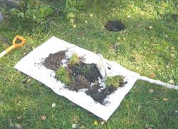 post-5029-0-09920500-1316530043_thumb.jp