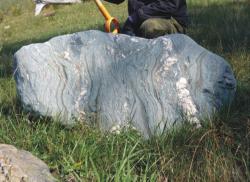 post-5029-0-09979600-1316534377_thumb.jp