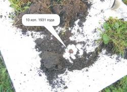 post-5029-0-16471900-1316530058_thumb.jp