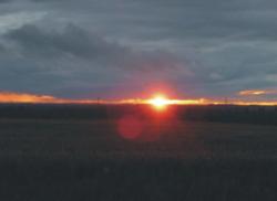 post-5029-0-23442100-1316528482_thumb.jp