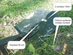 post-5029-0-24529900-1316529983_thumb.jp