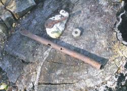 post-5029-0-27457300-1316531849_thumb.jp