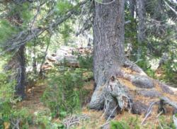 post-5029-0-31128200-1316531892_thumb.jp