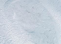 post-5029-0-48566100-1316528539_thumb.jp