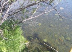 post-5029-0-54959700-1316532806_thumb.jp