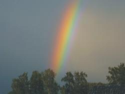 post-5029-0-58581000-1316532434_thumb.jp