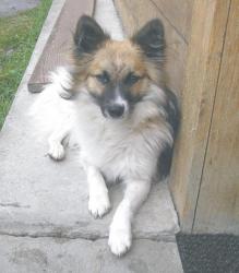 post-5029-0-61072000-1316608946_thumb.jp